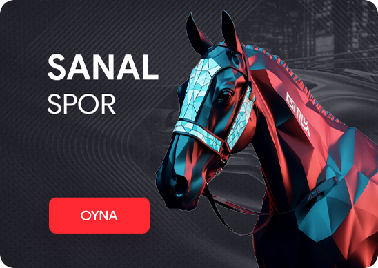Sanal Spor
