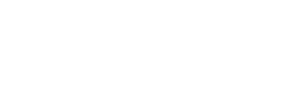 bullshark