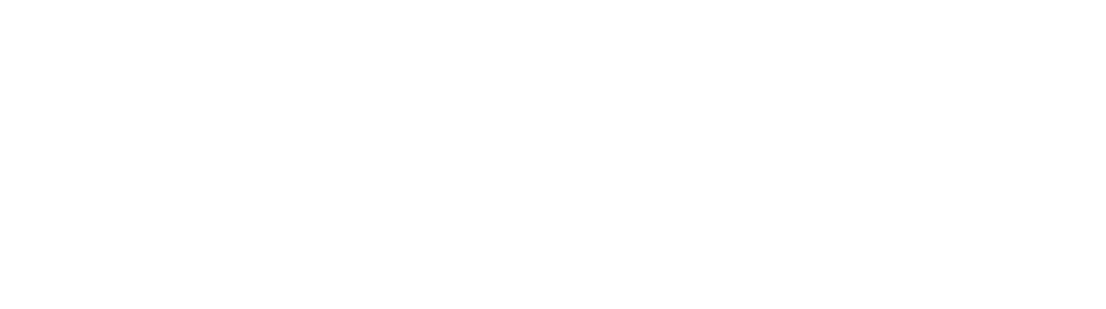 vision-b