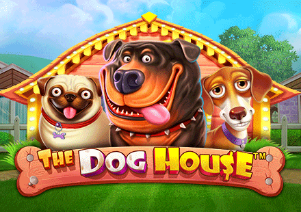 The Dog